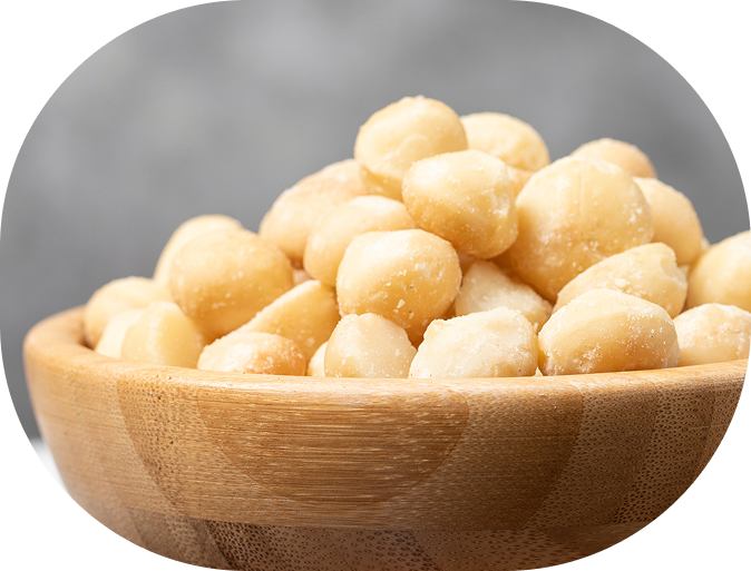 Macadamia