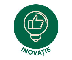 Icon Inovatie