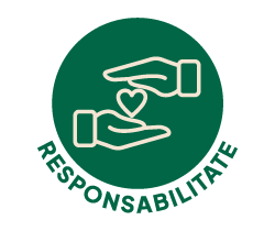 Icon Responsabilitate